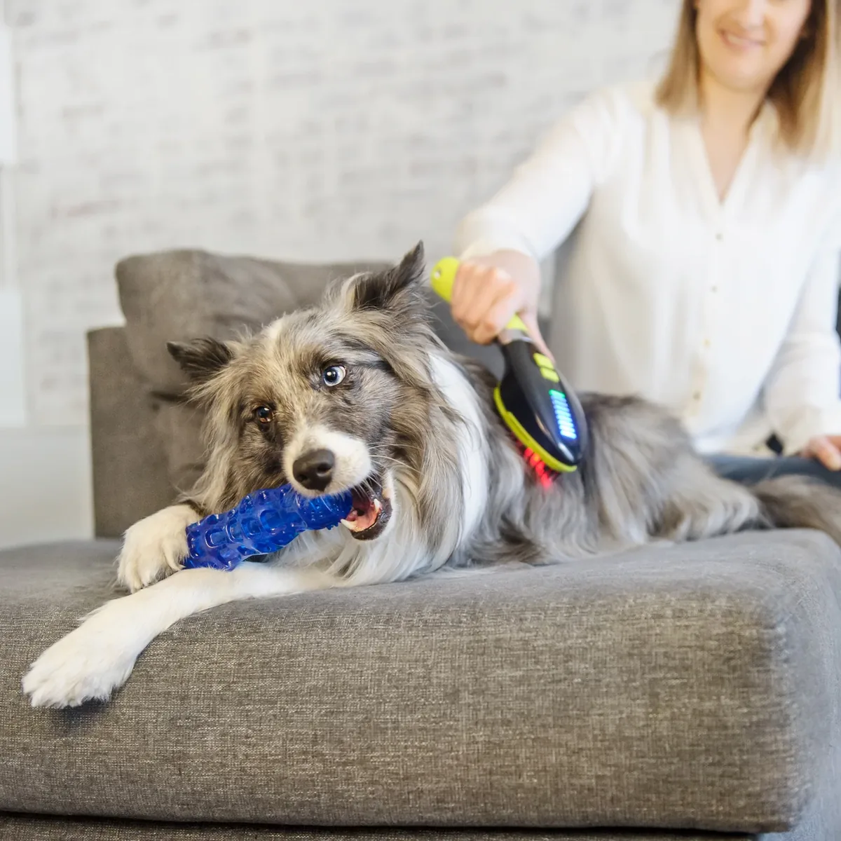 What Is This LASER Therapy Stuff?