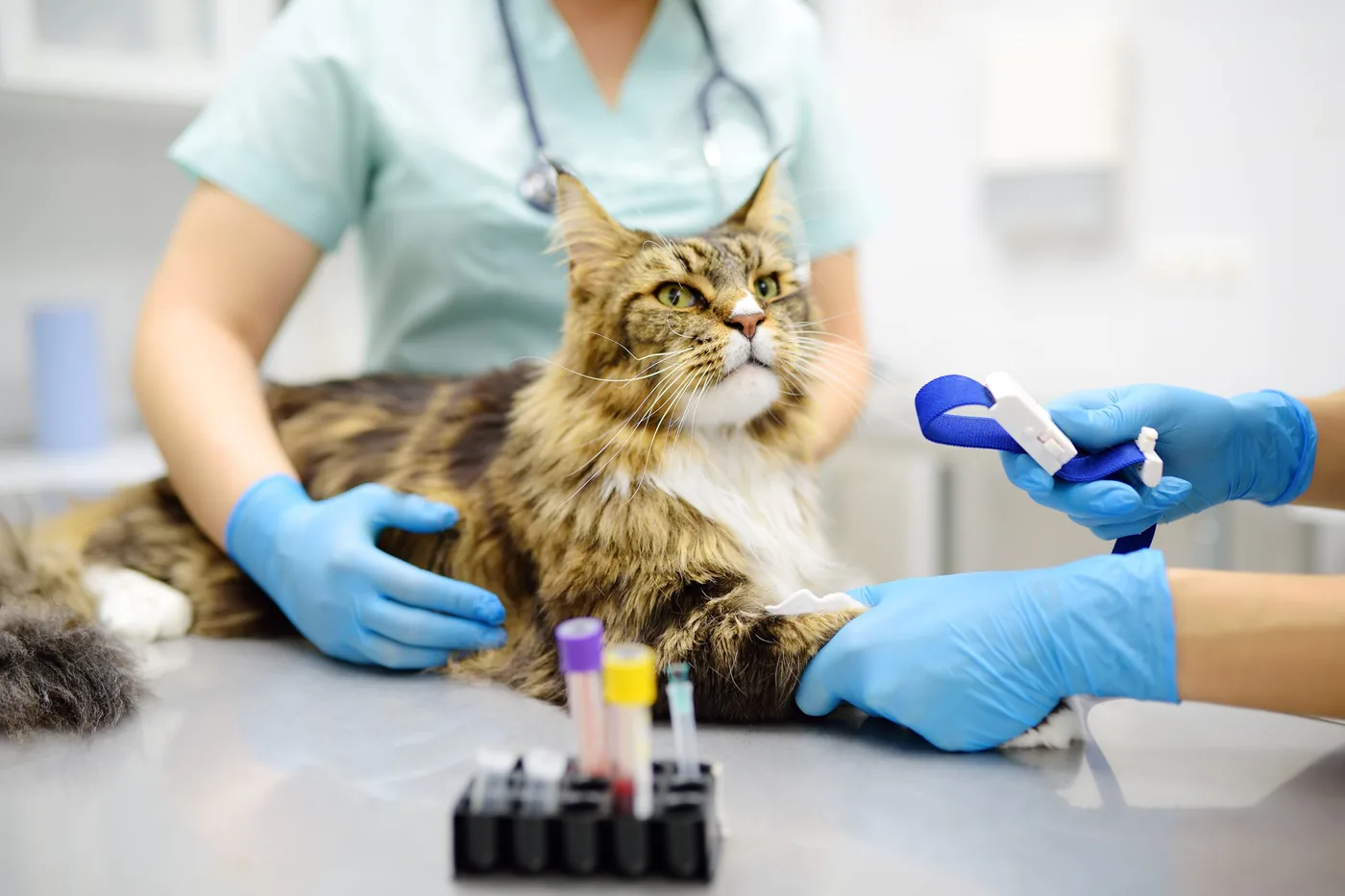 Diagnostics