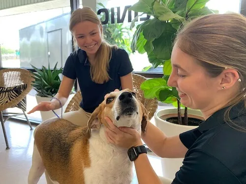 Safari Animal Clinic staff with a dog at the clinic in Tampa