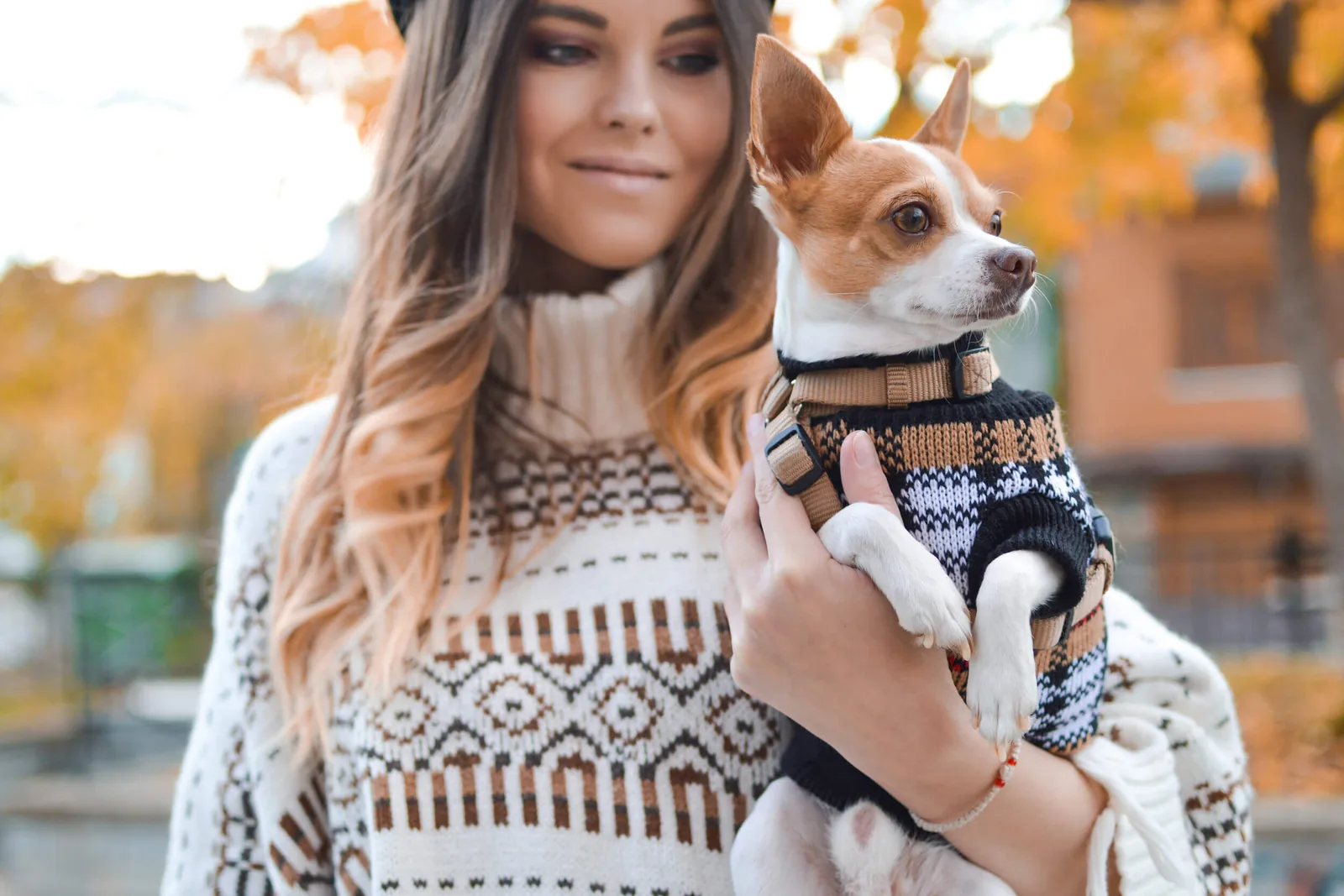 Pet owner with a healthy dog