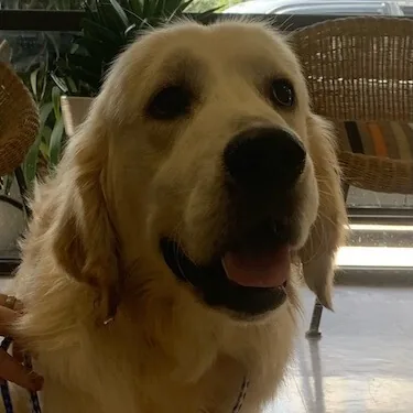 Jax