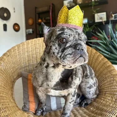 Oakley