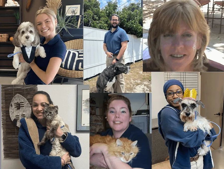 The Safari Animal Clinic team with their patients