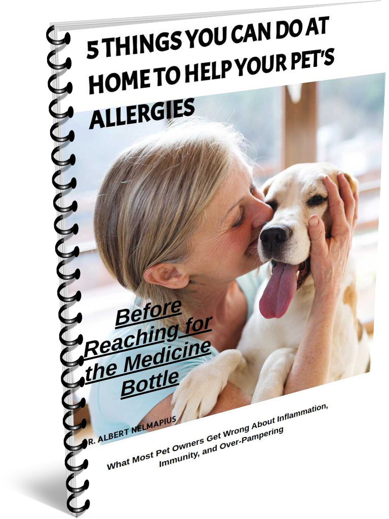 5 things you can do SAC version